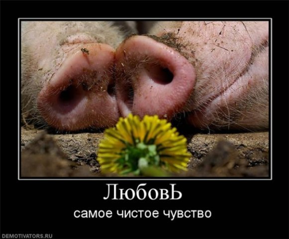 http://moj-malish.ru/wp-content/uploads/2012/07/Givotnie-4.jpg