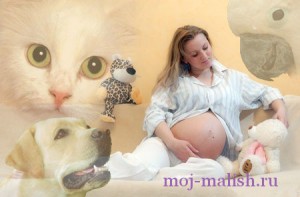 Домашние животные и беременность